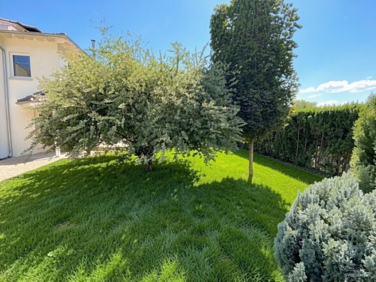 Garten - (KI generiert)